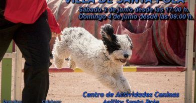 VI Trofeo de Agilidad Canina Villa de Santa Pola VI Trofeo de Agilidad Canina Villa de Santa Pola
