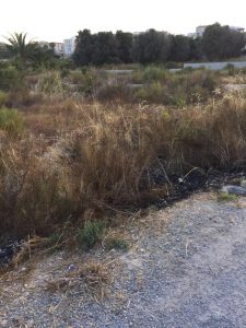 Sector MR10 La Marina