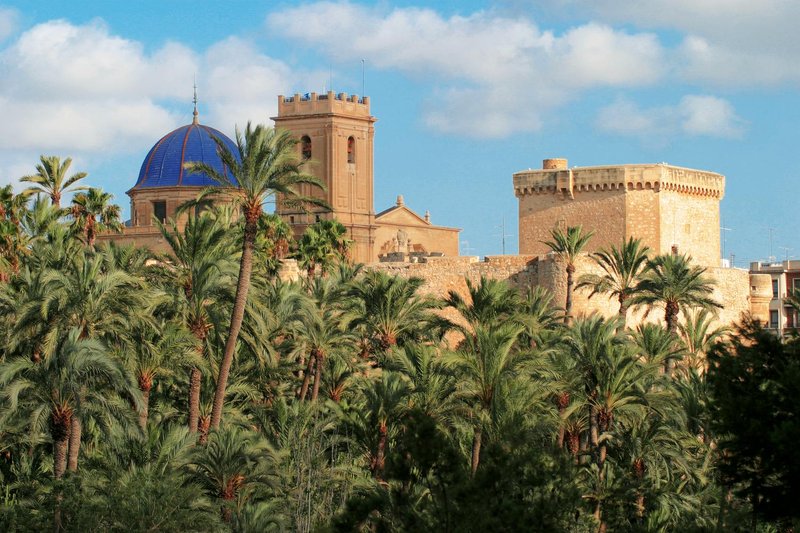 palmeral