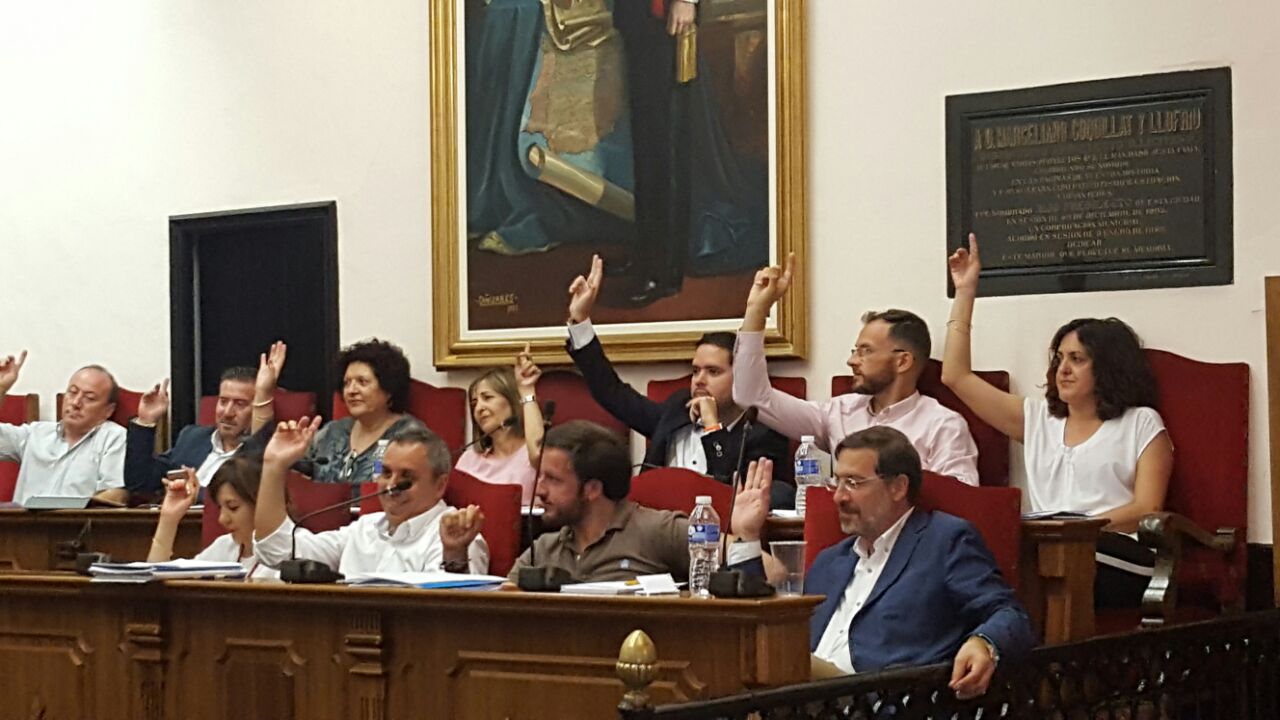 Ciudadanos Pleno Junio 2017