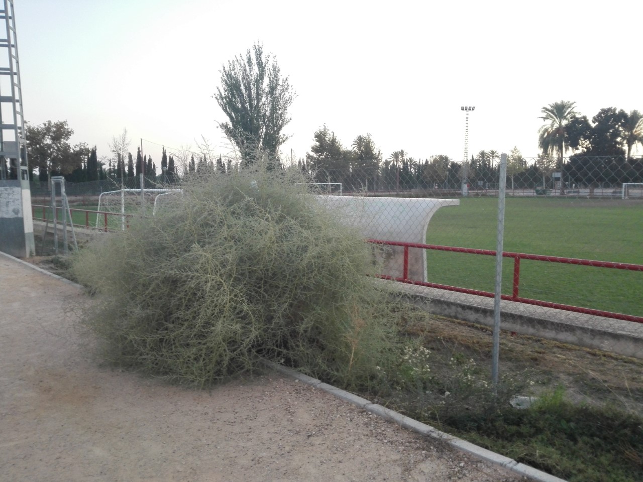 foto 05