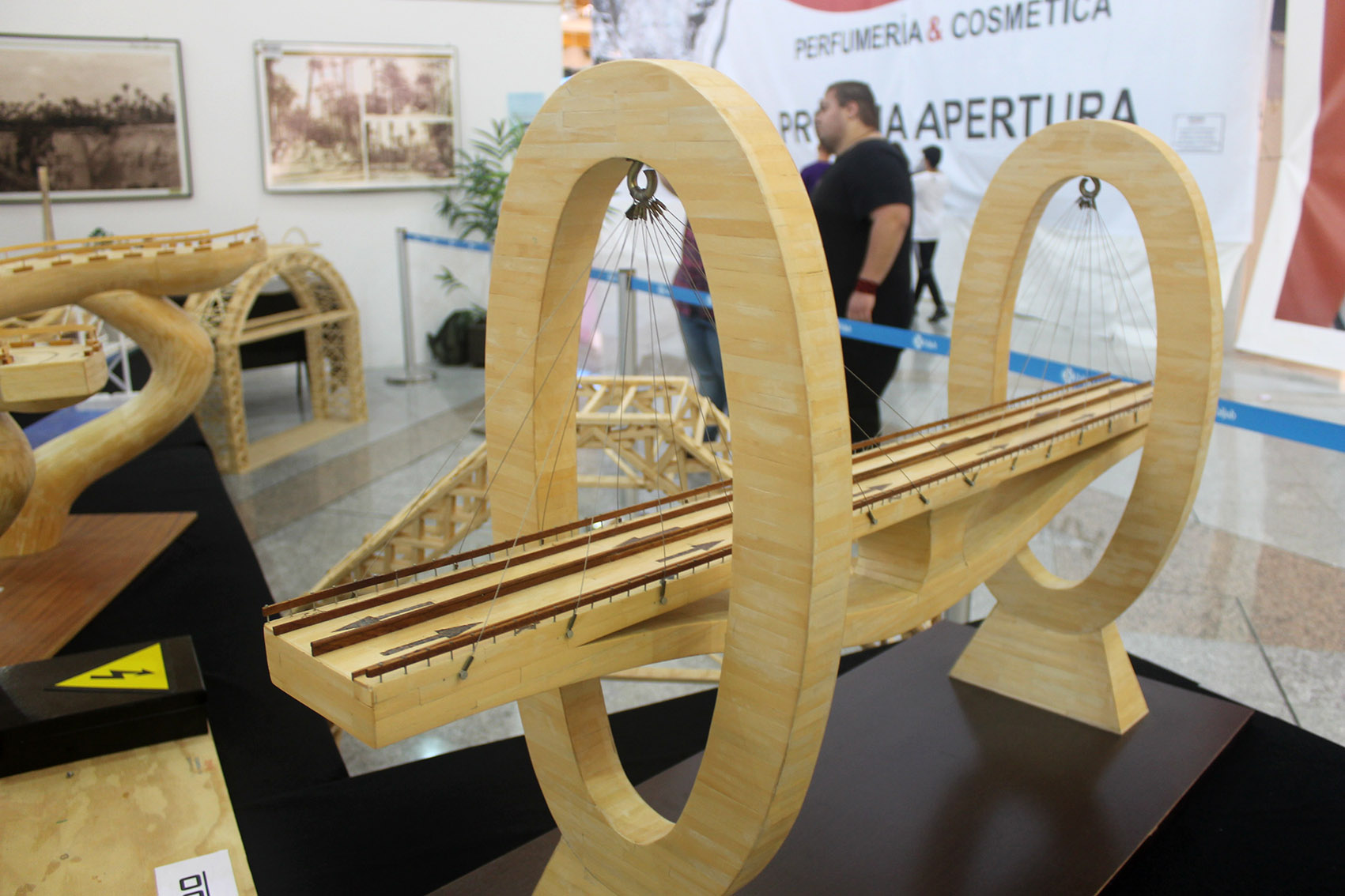 expo_puentes_4