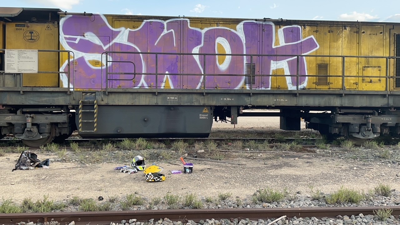 GRAFITIS-ELCHE-VAGONES