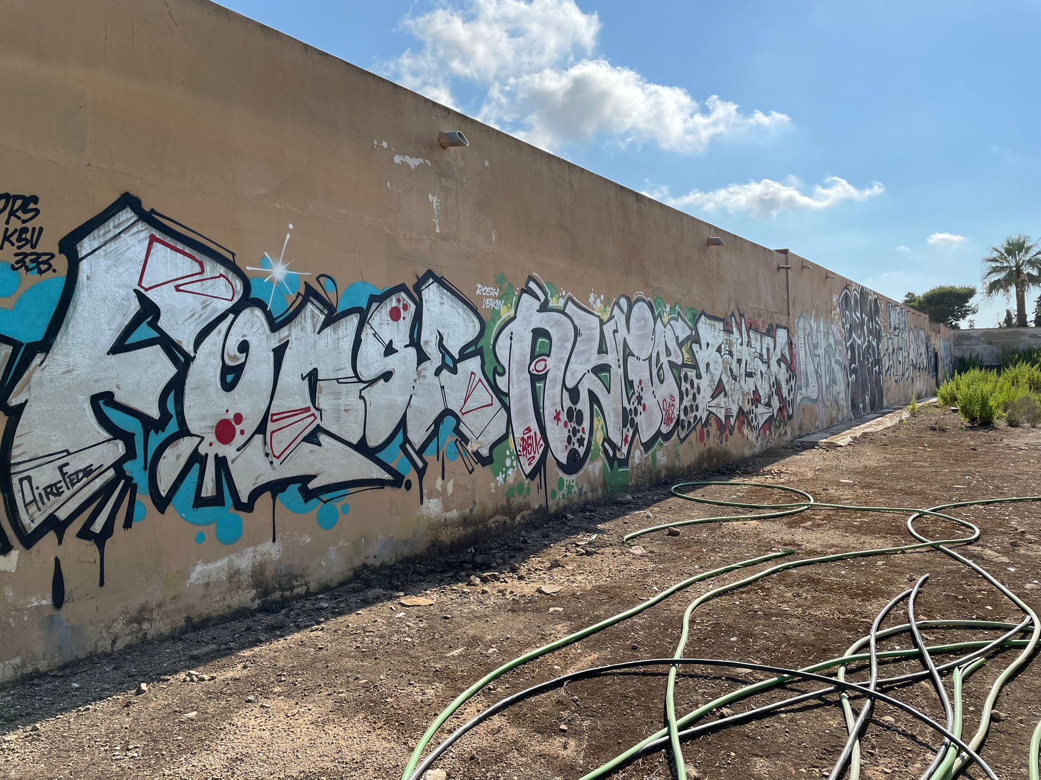 NOTA-29-07-21-grafitis-cementerio-FOTO