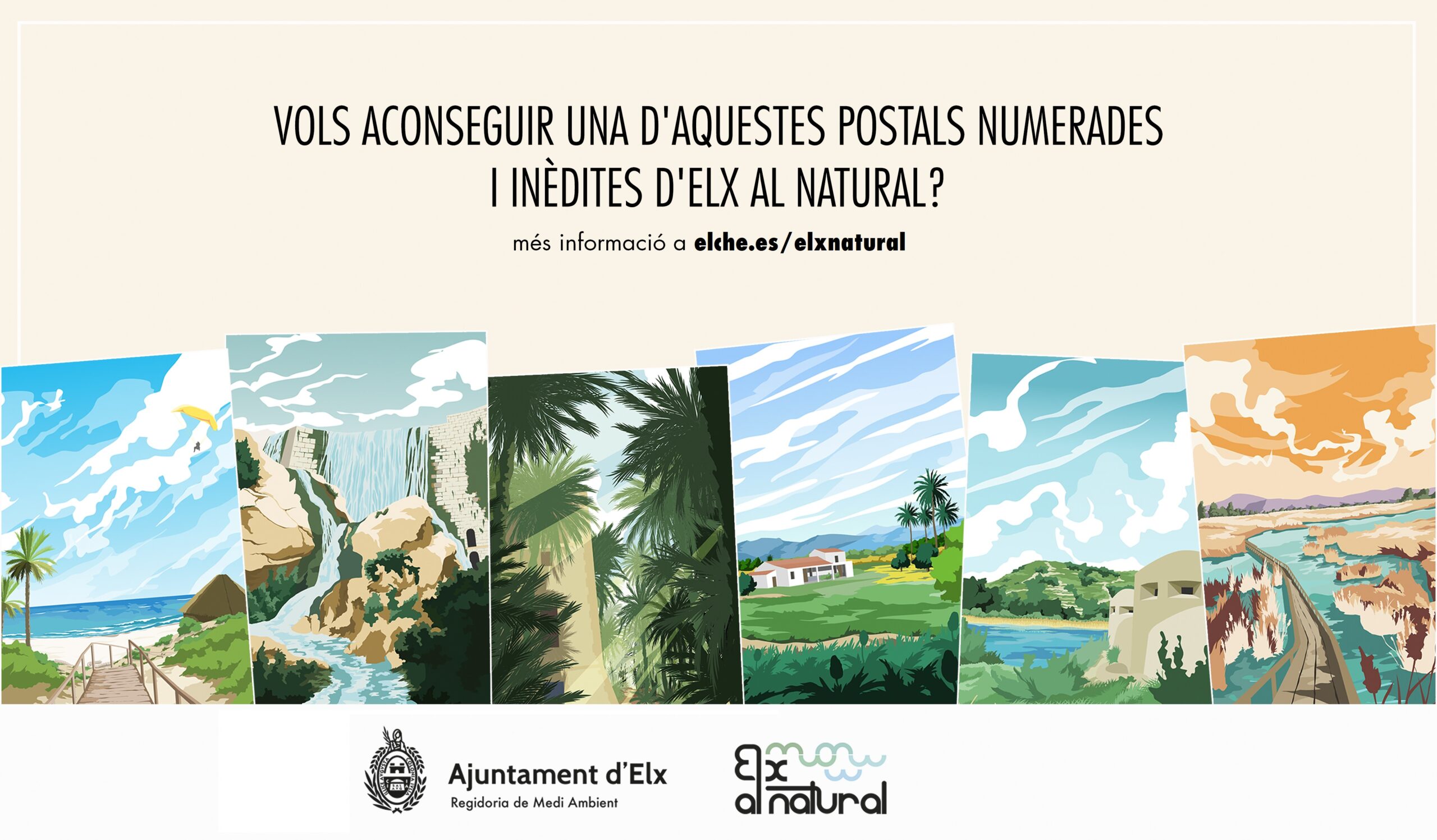 CARTELES-3