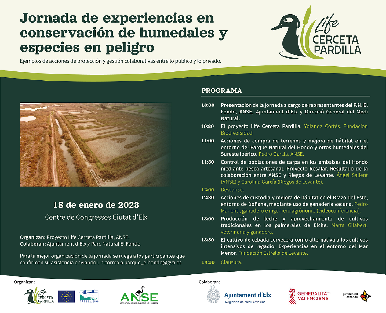 PROGRAMA-CASTELLANO