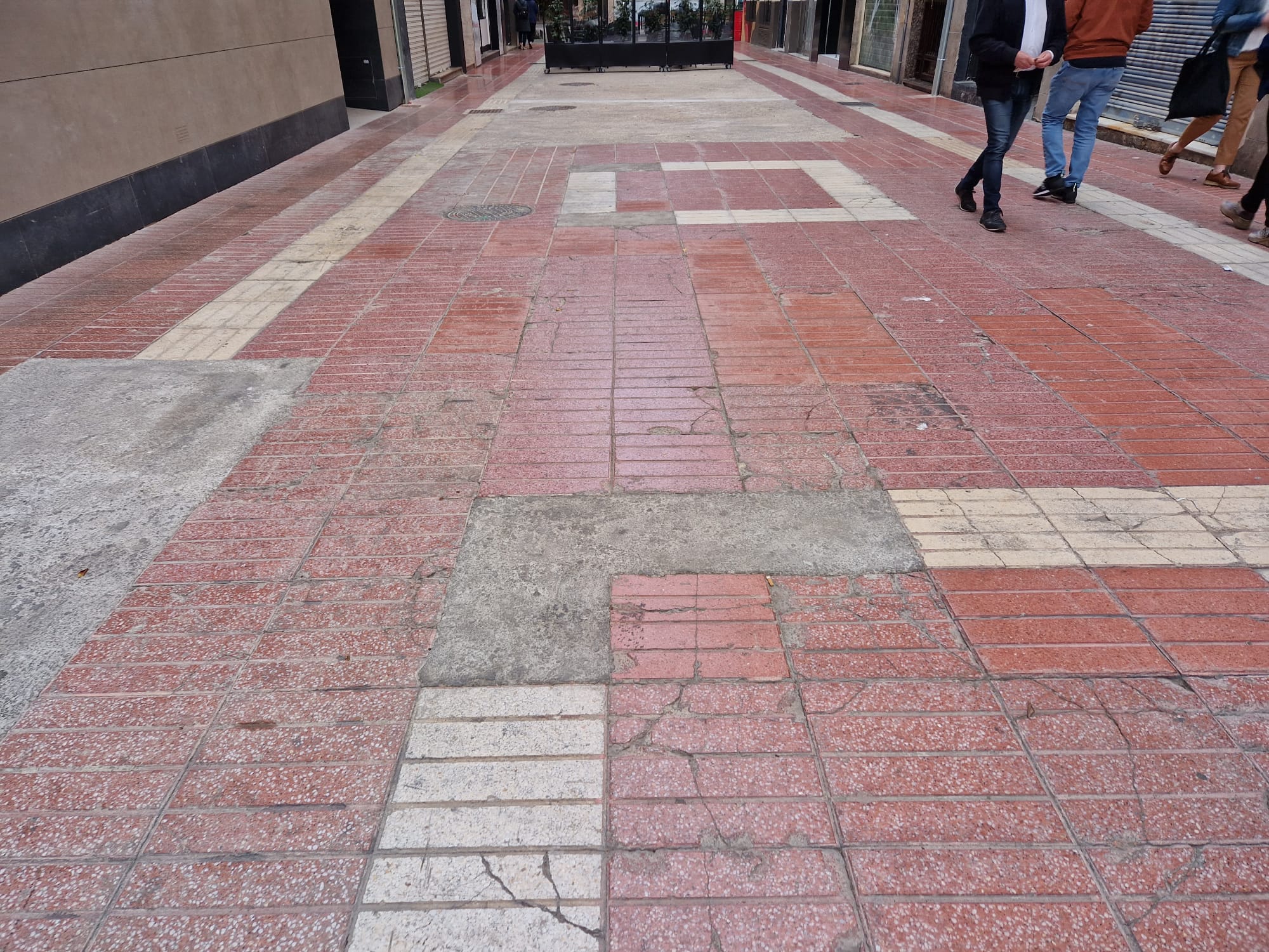 FOTO-CARRER-ANIMES