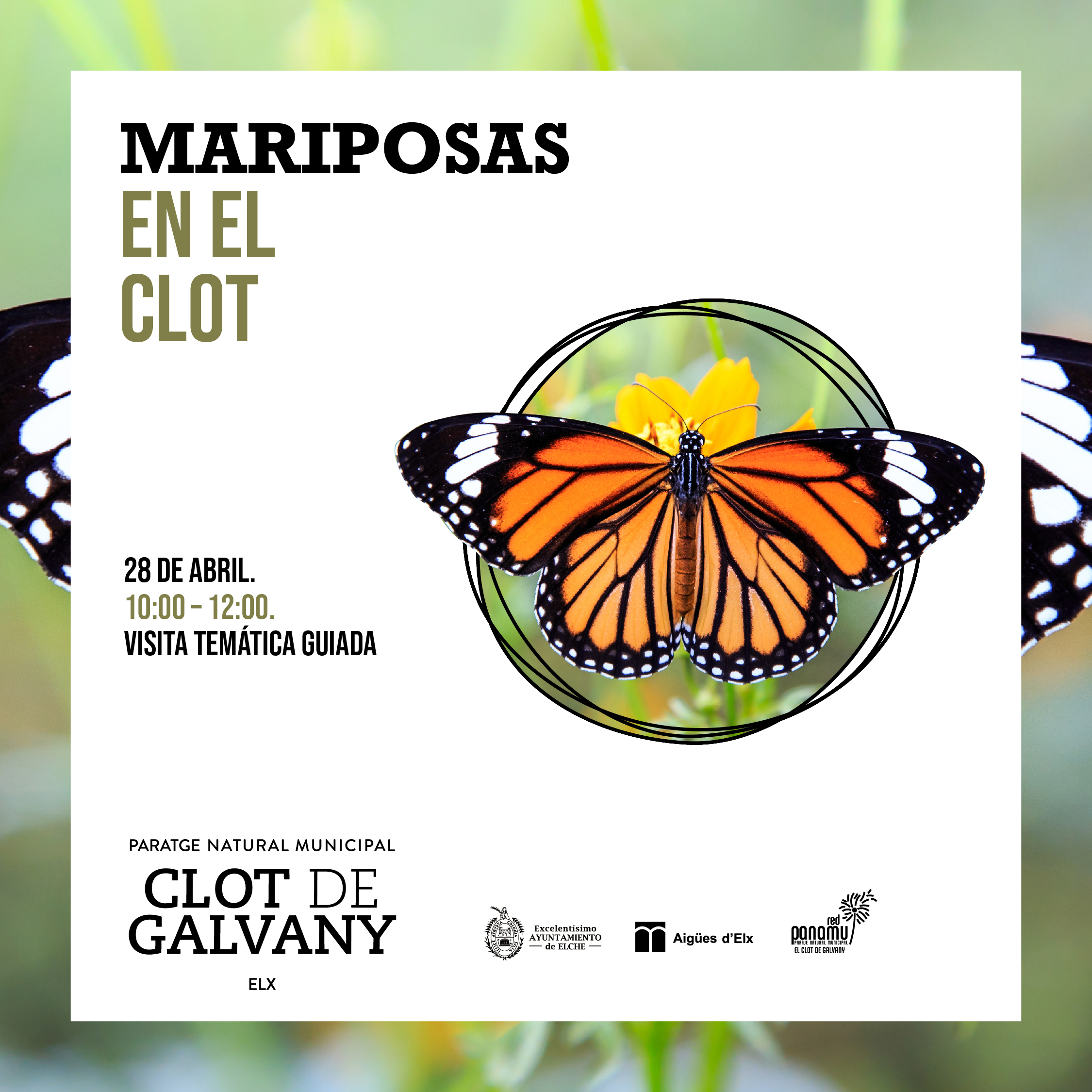 Jornada-Mariposas-Clot-CAS