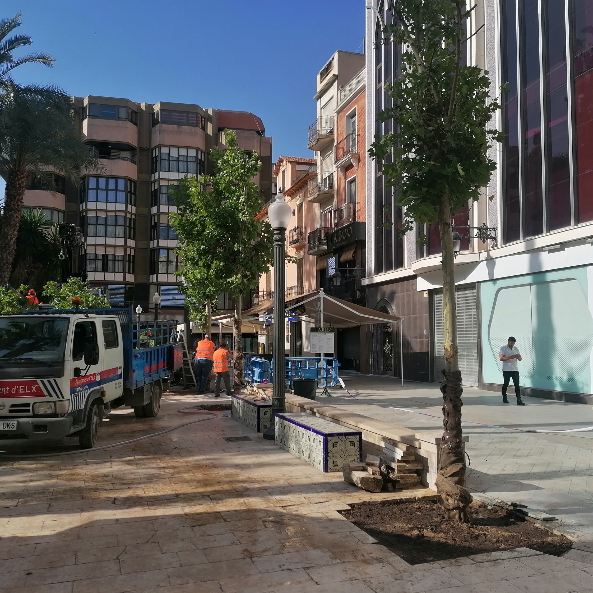 ARBOLES-GLORIETA