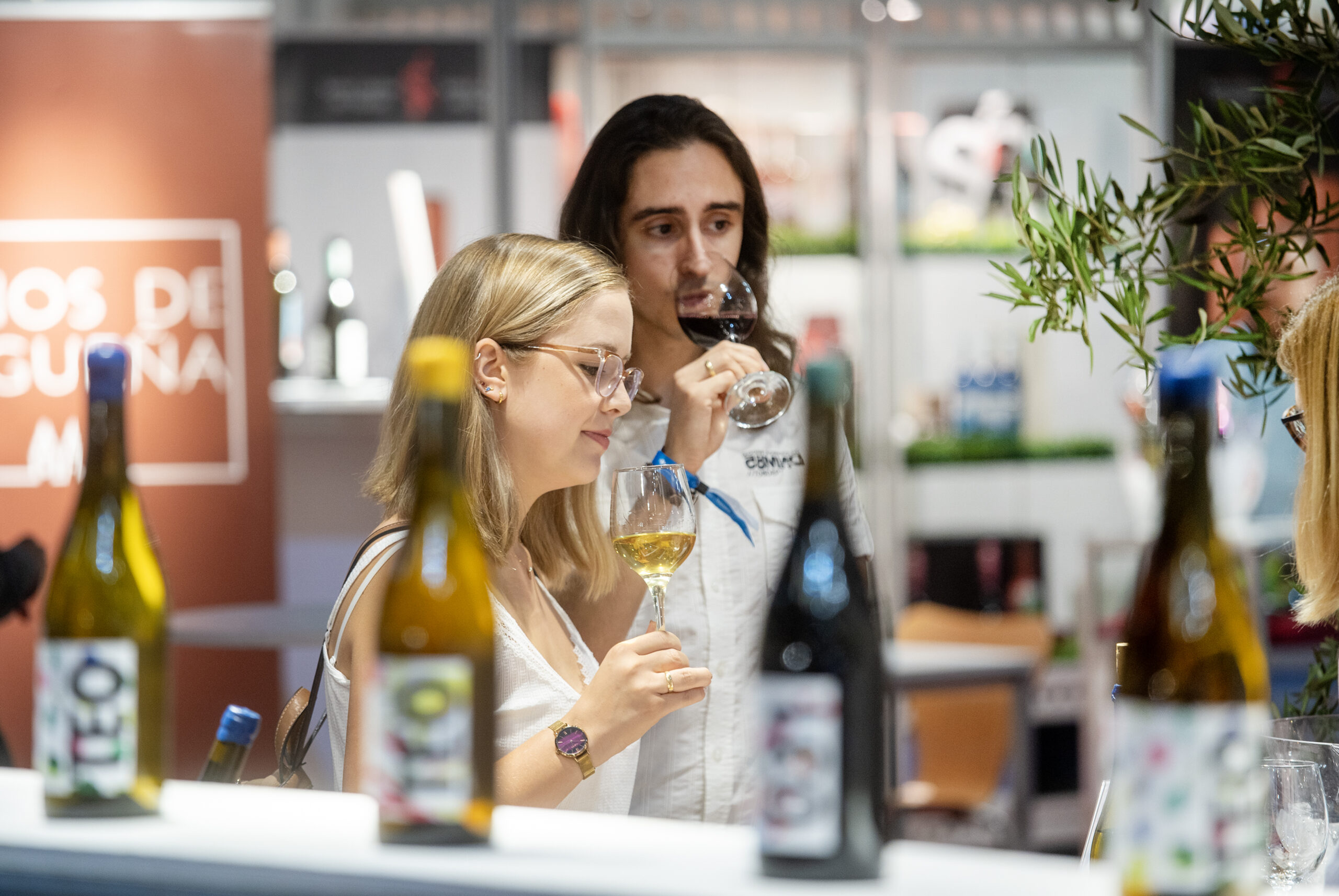 07-AG-Vinos