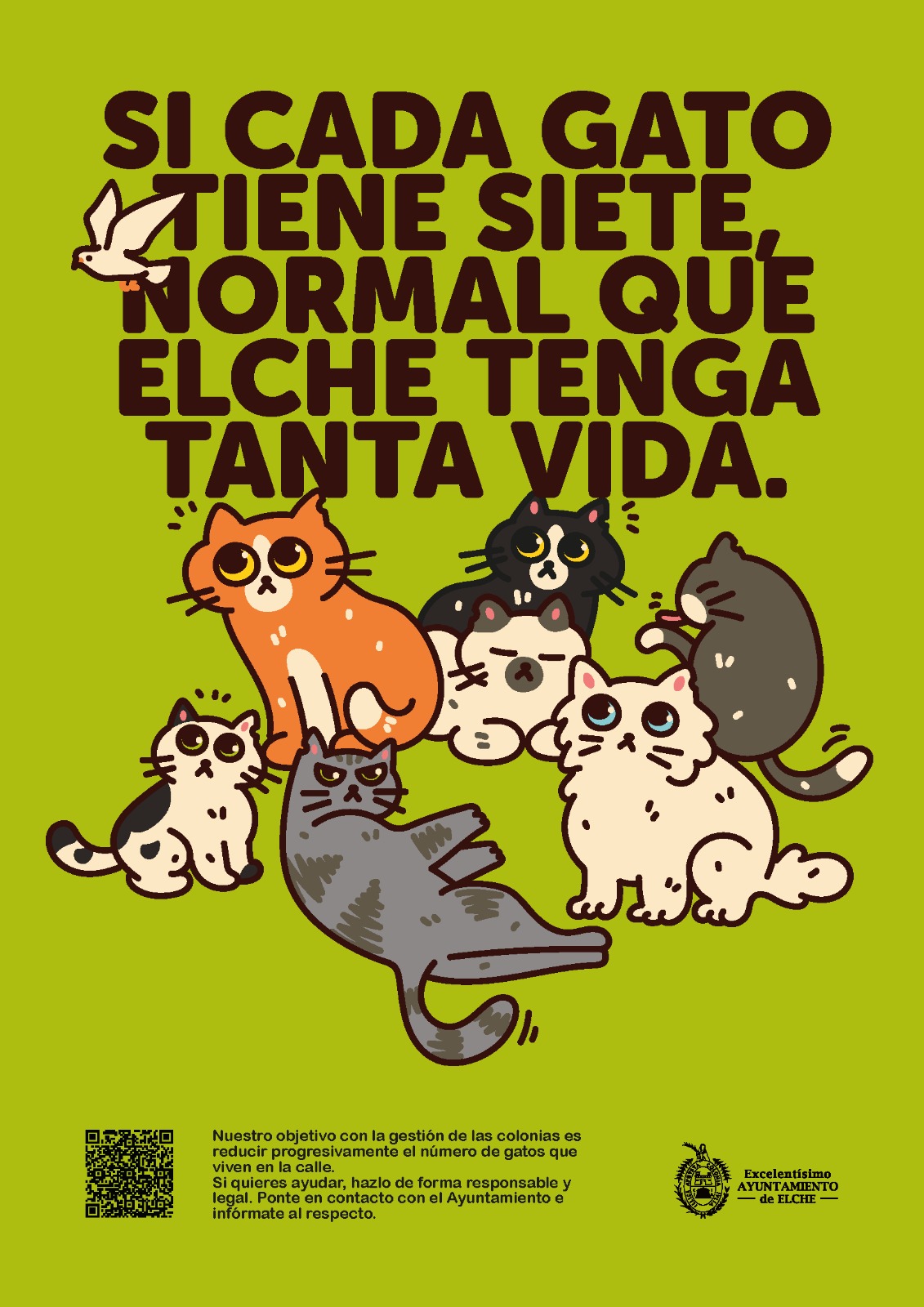 Campaña gatos Elche