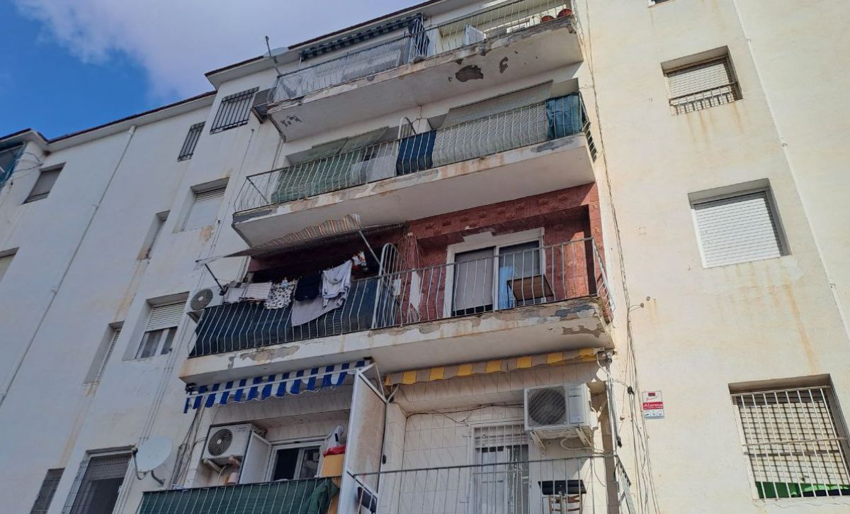 San Antón Elche