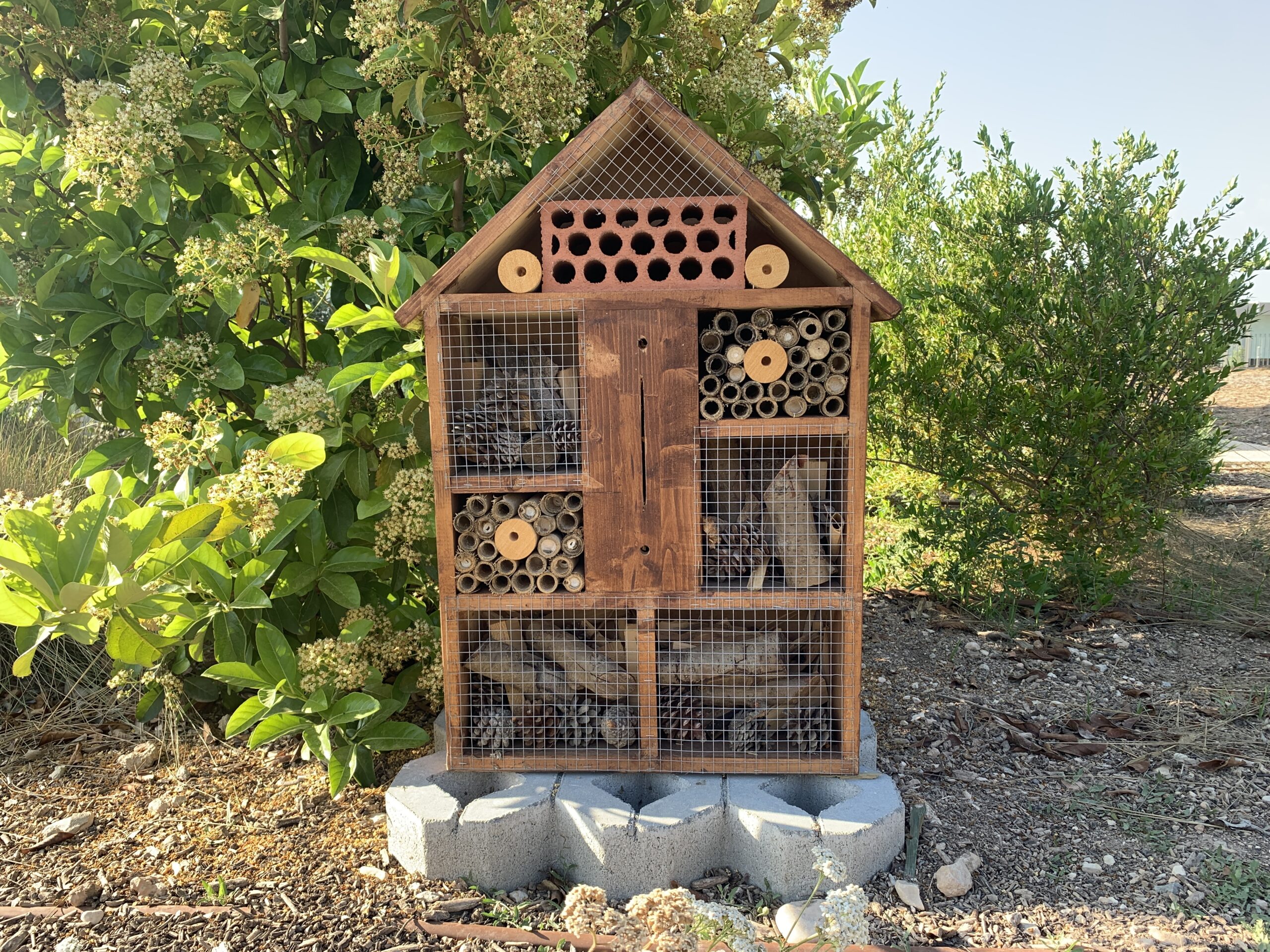 Hoteles para insectos 2025
