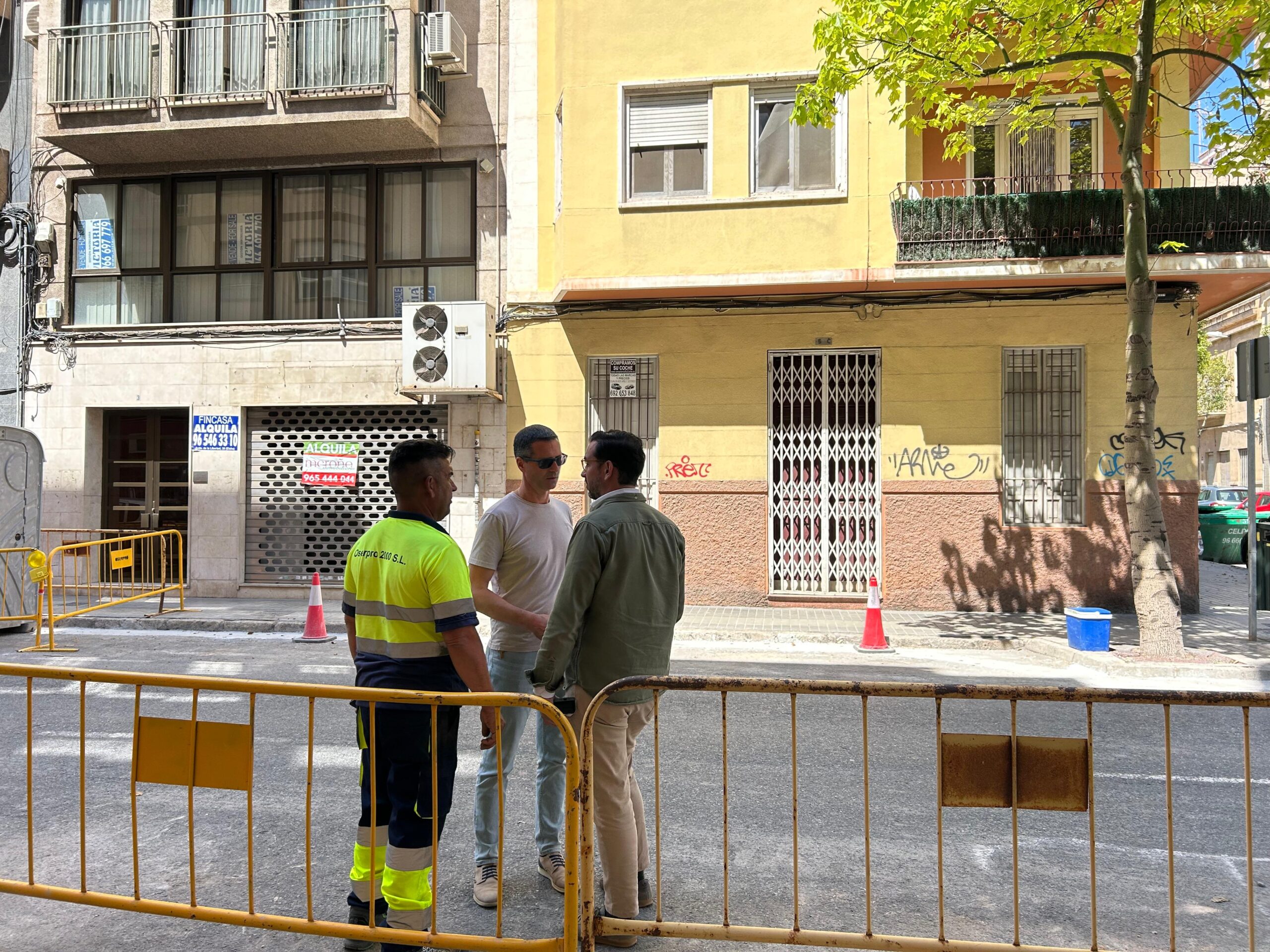 Árboles 2025 Elche