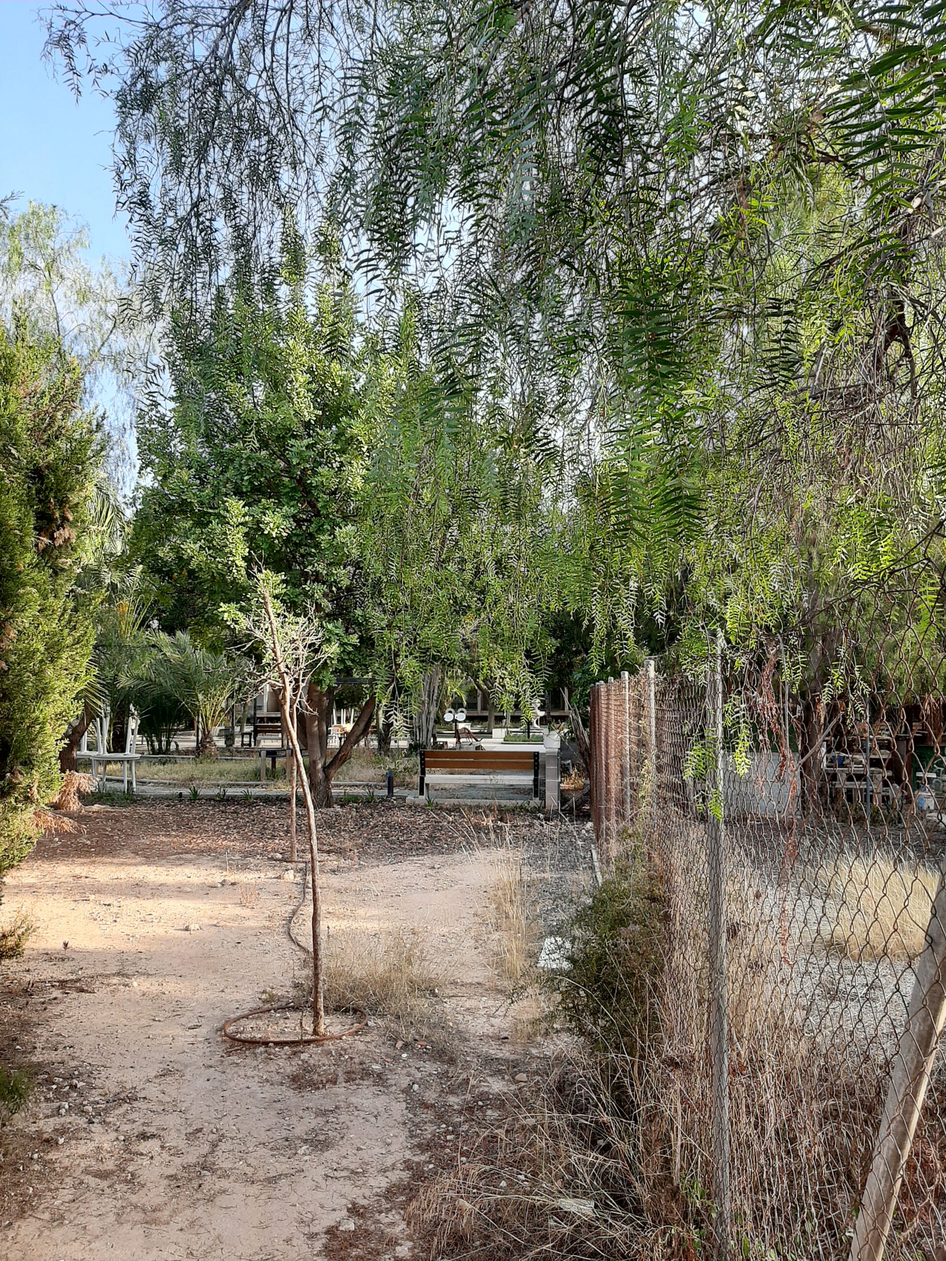 Foto jardín residencia Altabix Elche 2