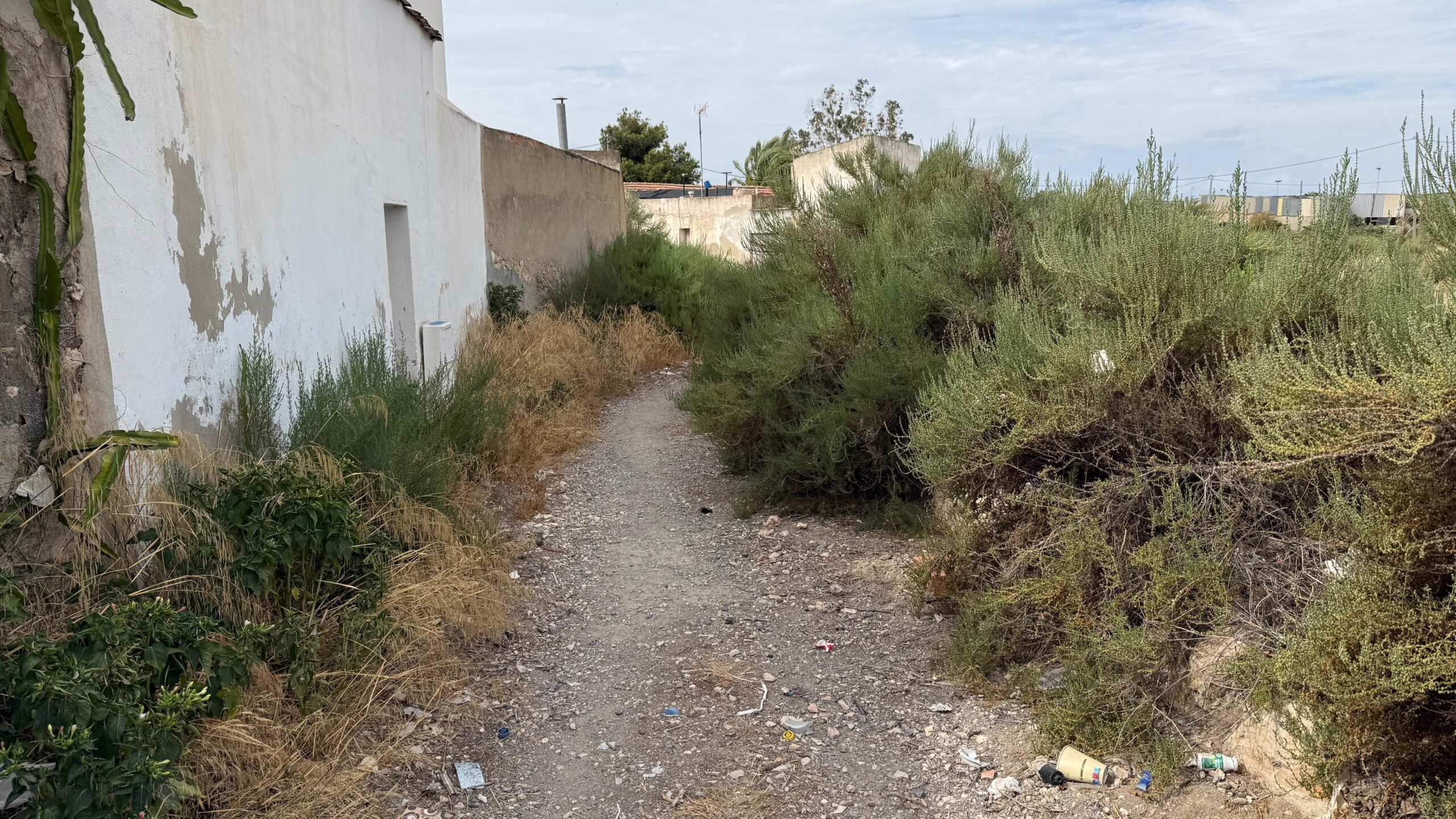 Caminos Carrús matorrales 2025